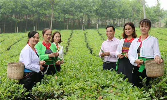 Thành phố Hà Nội thông qua chính sách về đất đai đối với đồng bào dân tộc thiểu số