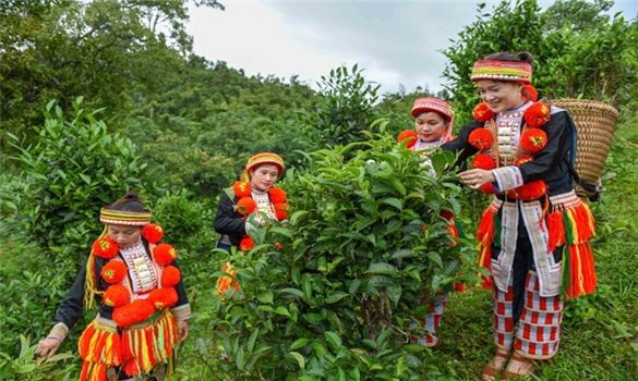 Tuyên Quang: Hoàn thành rà soát, đánh giá nhu cầu cấp thiết liên quan đến đời sống của đồng bào dân tộc thiểu số và miền núi