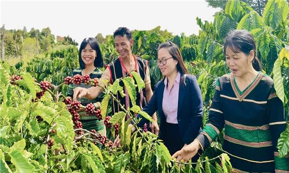 Ngăn chặn tín dụng đen để bảo vệ sinh kế vùng đồng bào dân tộc thiểu số