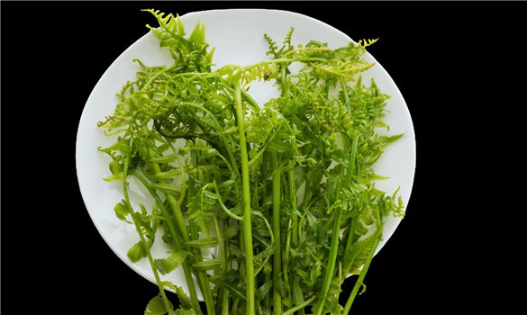 Rau dớn rừng chinh phục khẩu vị của người miền xuôi