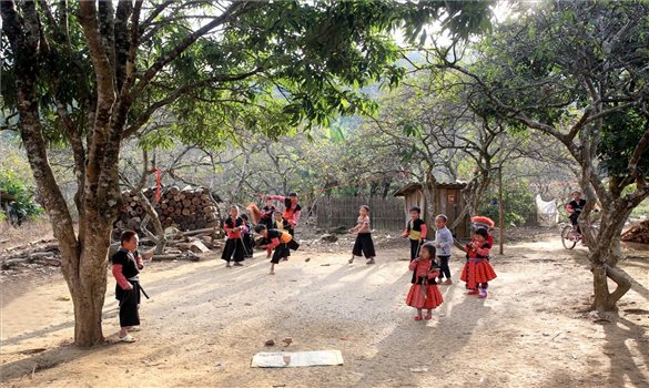 Vũ điệu của gỗ