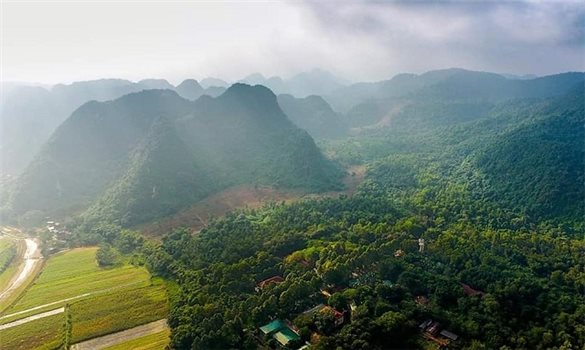 Đánh thức tiềm năng kinh tế dưới tán rừng ở miền Tây Nghệ An