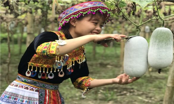Phát huy thương hiệu bí thơm Bắc Kạn