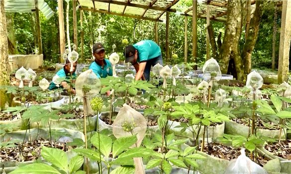Quảng Ngãi khơi thông nguồn lực, tạo đột phá từ các chương trình mục tiêu quốc gia