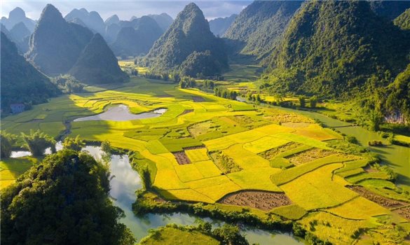 Mùa vàng ở thung lũng Đàm Thủy
