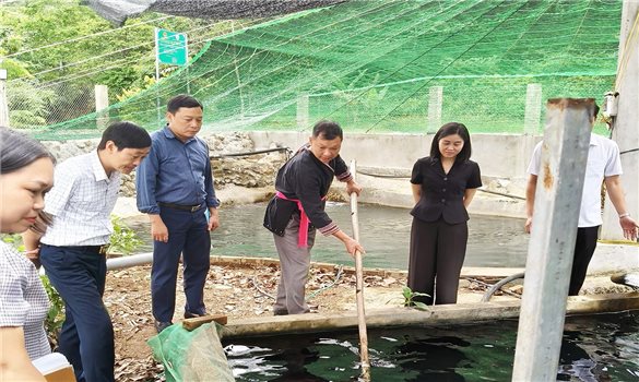 Đề xuất nội dung, cơ chế, chính sách thực hiện Chương trình mục tiêu quốc gia phát triển văn hóa - xã hội, nông thôn, dân tộc và miền núi giai đoạn 2026 - 2035