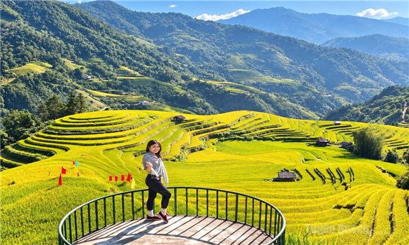 Hồ Thầu - Mùa vàng di sản, khát vọng vươn xa