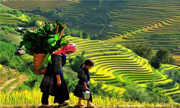 Lào Cai: Đánh thức nguồn lực di sản bằng truyền thông số