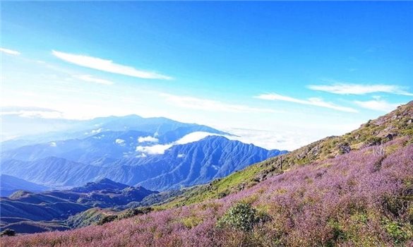 Tà Chì Nhù trong sắc tím mùa hoa Chi Pâu
