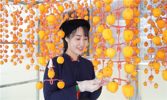 Hồng treo gió xứ Lạng