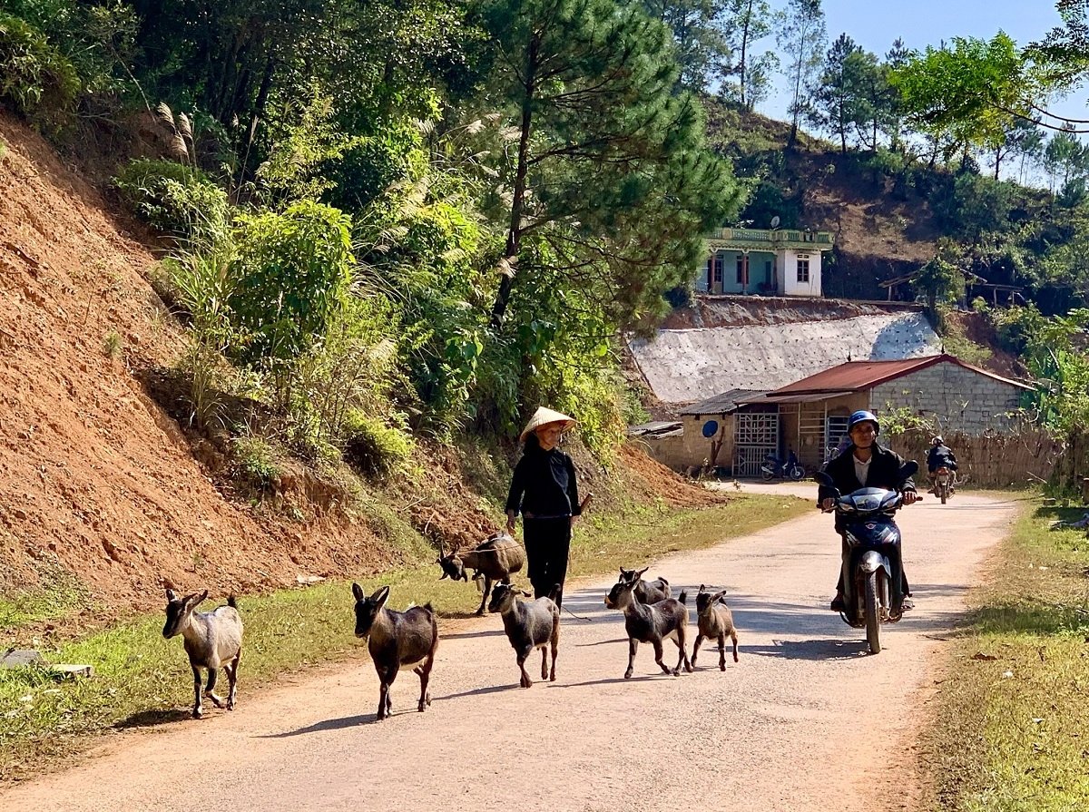 Các chính sách giảm nghèo được triển khai đúng hướng, sát nhu cầu và điều kiện của người dân, sẽ tạo động lực quan trọng, góp phần hiện thực hóa mục tiêu giảm nghèo bền vững