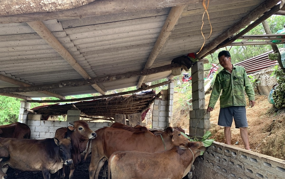 Khi được cung cấp thông tin đầy đủ, kịp thời, người dân sẽ mạnh dạn thay đổi tư duy, tích cực tham gia các mô hình phát triển kinh tế, từng bước vươn lên thoát nghèo bền vững