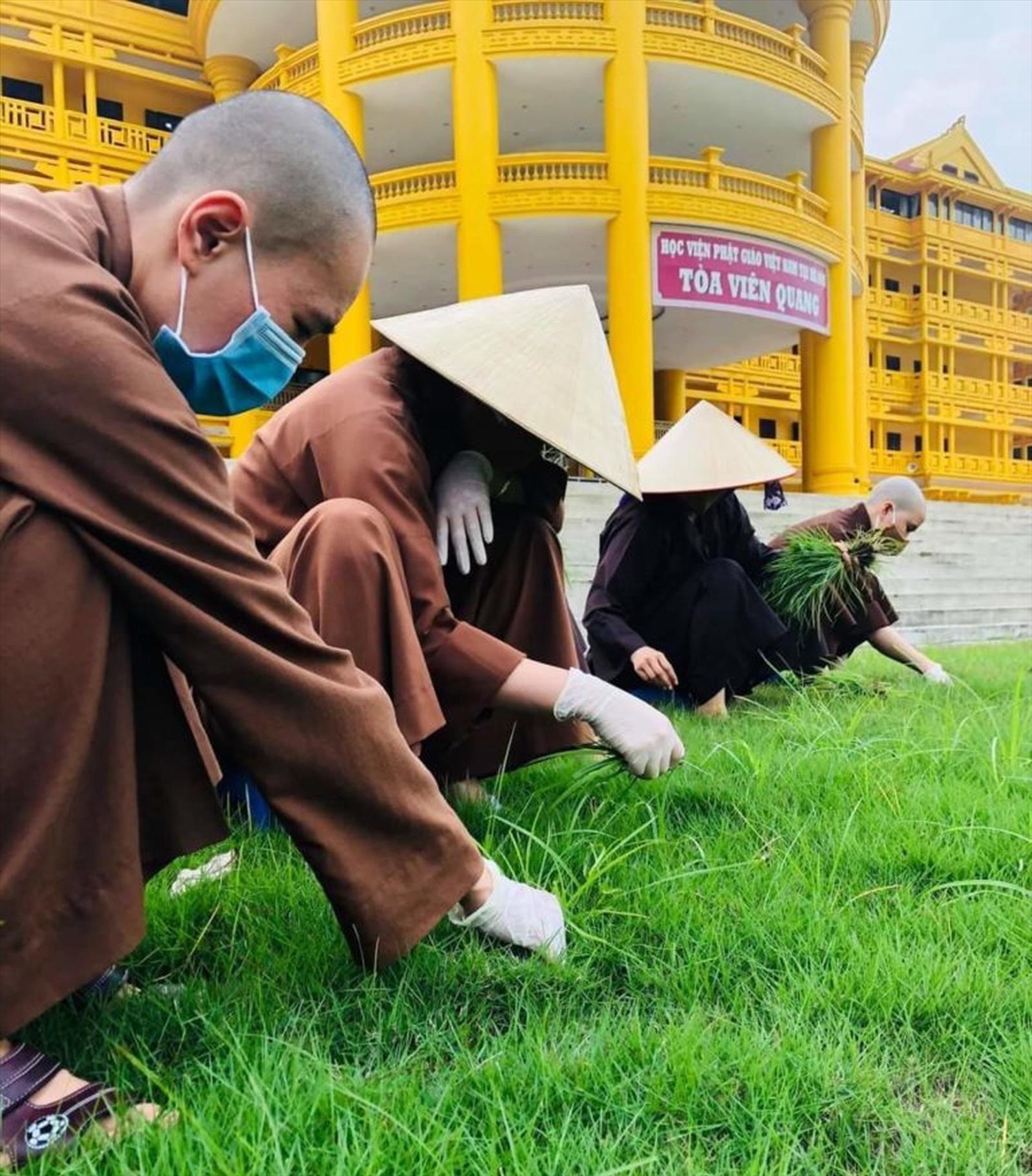 Tăng ni sinh Học viện Phật giáo Việt Nam tại Hà Nội lao động cuối tuần để môi trường xanh - sạch - đẹp