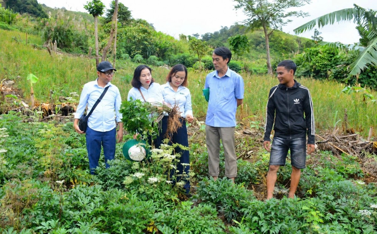 Thành phố Đà Nẵng mở hướng sinh kế mới từ lợi thế vùng cao