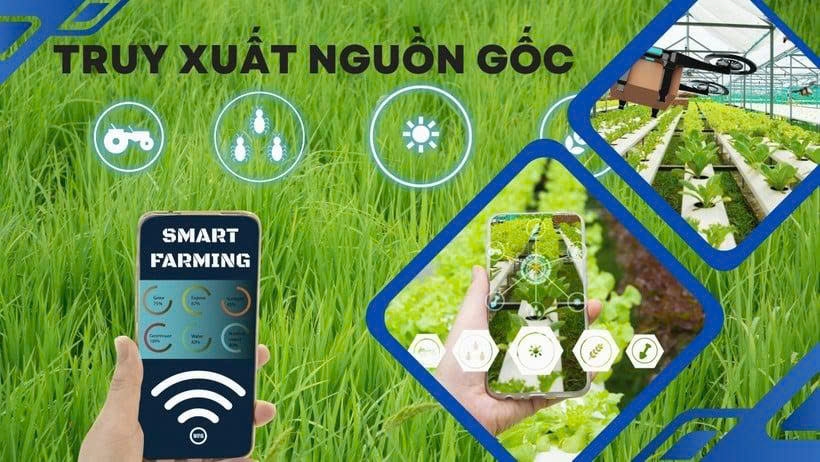 Khi các sản phẩm OCOP được đưa lên không gian số, khách hàng dễ dàng truy xuất được nguồn gốc của sản phẩm