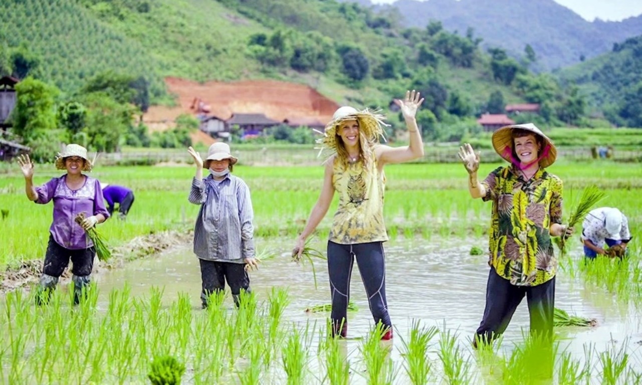 Du khách trong nước và quốc tế đến Quỳnh Sơn (xã Bắc Sơn, tỉnh Lạng Sơn) sẽ được tham gia trải nghiệm cấy lúa truyền thống