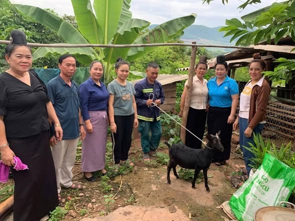 Hội Liên hiệp Phụ nữ xã Yên Châu trao hỗ trợ dê giống cho hội viên nhằm tạo sinh kế, giúp gia đình phát triển kinh tế, từng bước nâng cao thu nhập, phấn đấu thoát nghè