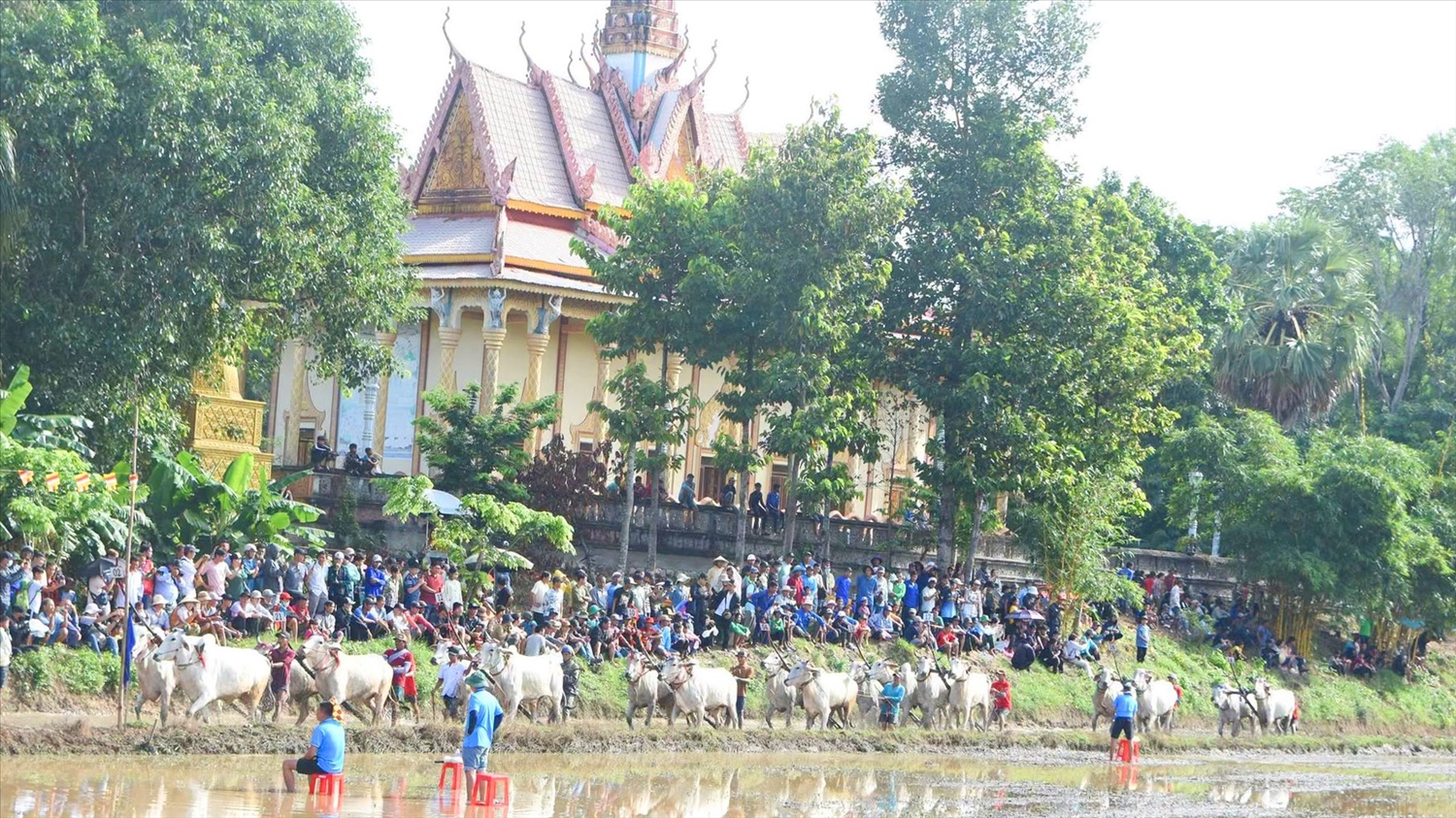Sau sắp xếp xã An Cư (tỉnh An Giang) có 13 thôn đặc biệt khó khăn