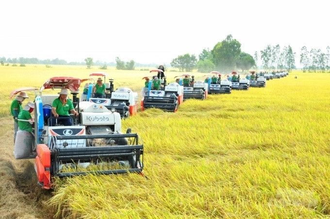 Thực hiện phát triển kinh tế - xã hội vùng đồng bào dân tộc thiểu số và miền núi ở tỉnh An Giang