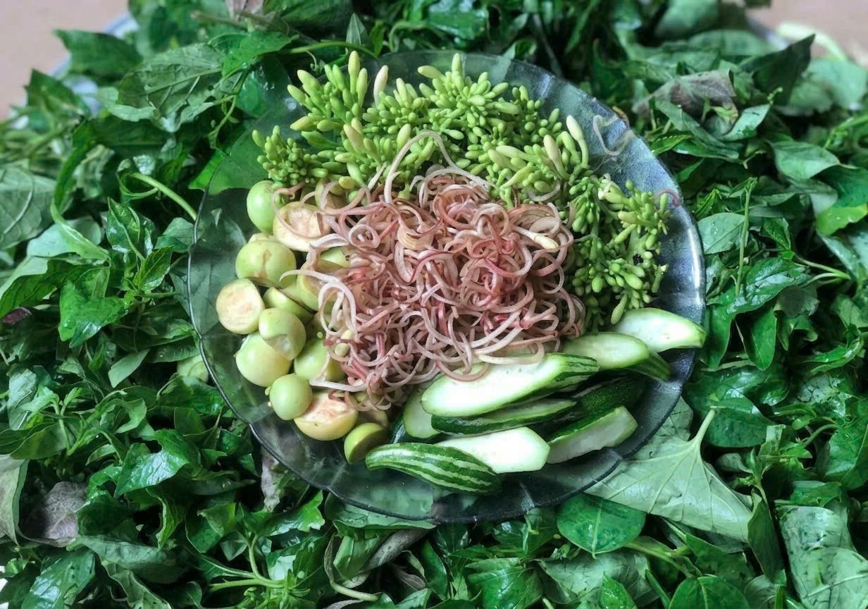 Rau rừng đồ, hương vị khó quên