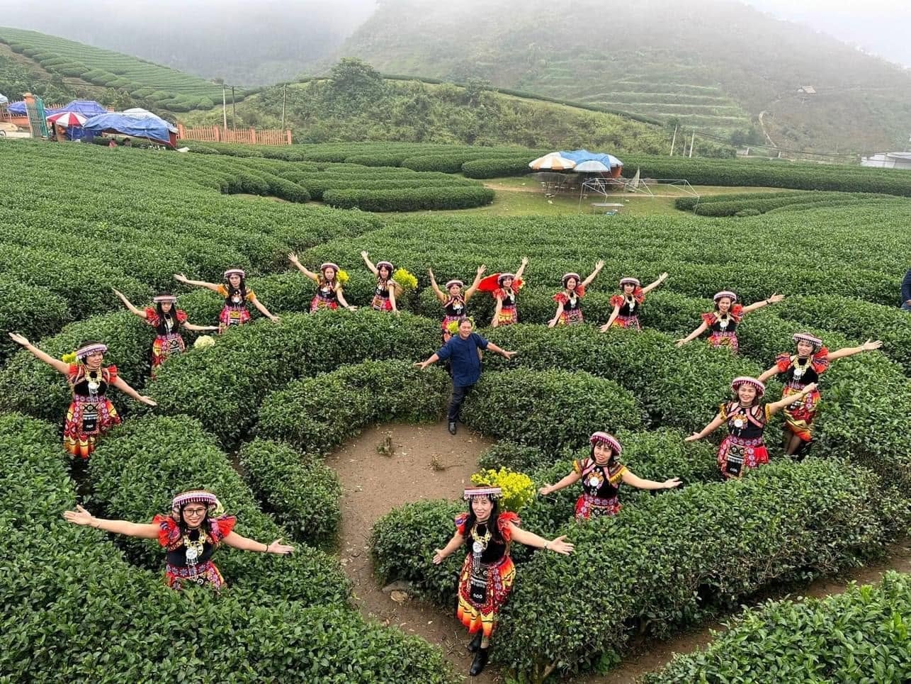 Ở nơi có điều kiện, có thể phát triển du lịch trải nghiệm vùng chè và văn hóa cộng đồng 