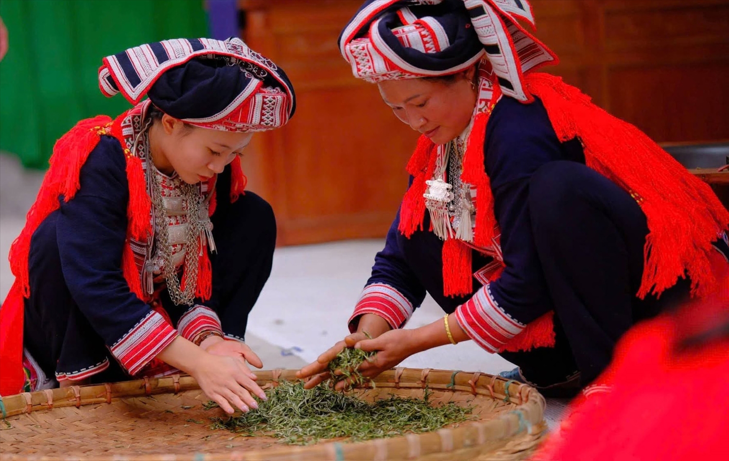 Người Dao đỏ chế biến chè theo phương thức truyền thống tại HTX trà Shan di sản Hồ Thầu, tỉnh Tuyên Quang
