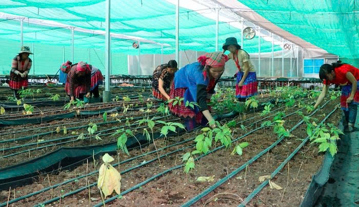 Chương trình MTQG giai đoạn 2026-2035 gồm các nhóm nhiệm vụ về xây dựng nông thôn mới; thực hiện chuẩn nghèo đa chiều quốc gia; phát triển kinh tế - xã hội vùng đồng bào DTTS và miền núi