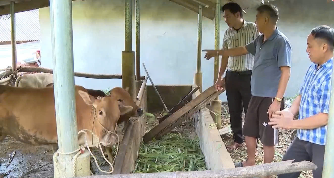 Người có uy tín luôn đồng hành, tuyên truyền, hướng dẫn đồng bào dân tộc thiểu số phát triển mô hình sinh kế (Ảnh: D.D)