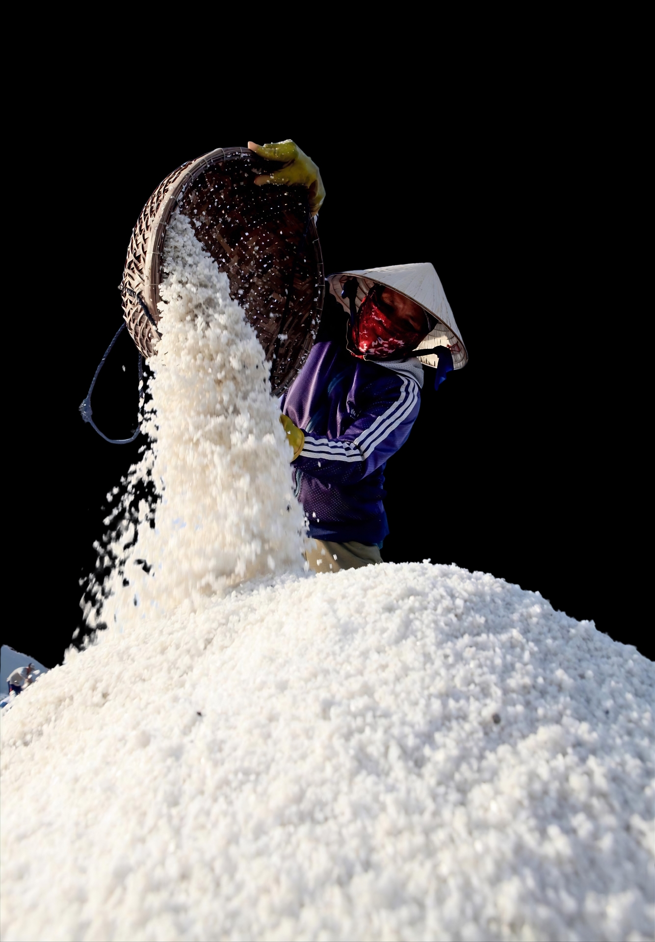 Go Co’s salt flowers