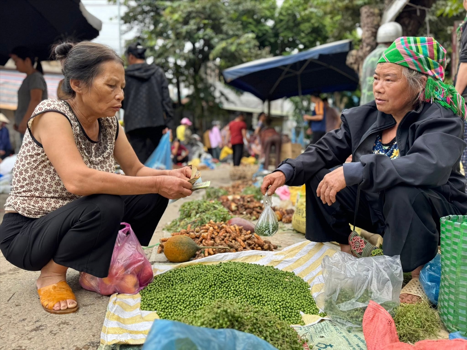 Chợ phiên Háng Cáp, còn gọi là chợ phiên Nước Hai (xã Hòa An) là một nơi phản ánh trình độ phát triển kinh tế - xã hội của địa phương