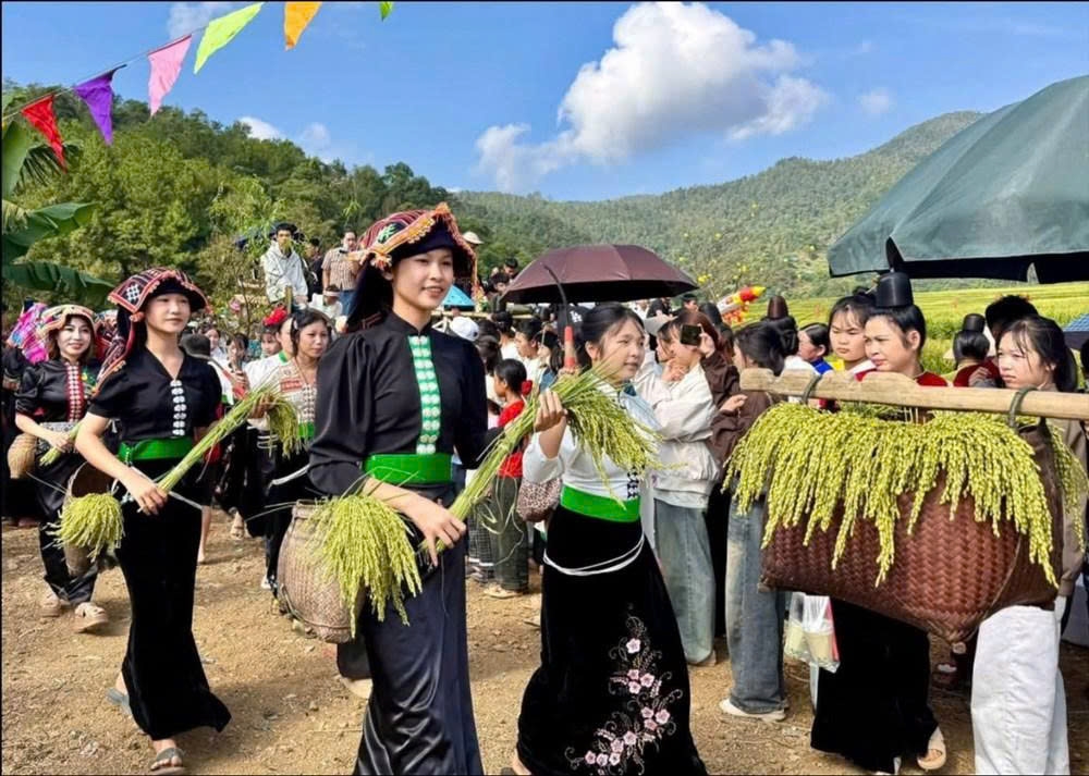 Đồng bào dân tộc Thái thu hoạch lúa, gìn giữ nét đẹp văn hóa mùa cốm mới ở Mường Kim