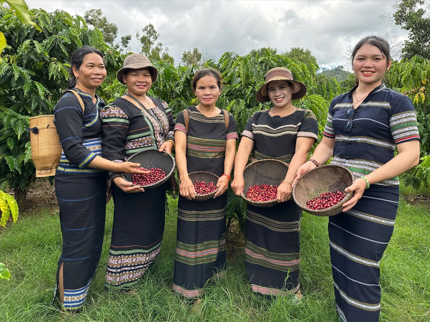 Đồng bào Cơ Ho phơi hạt caphe trước khi đưa vào chế biến