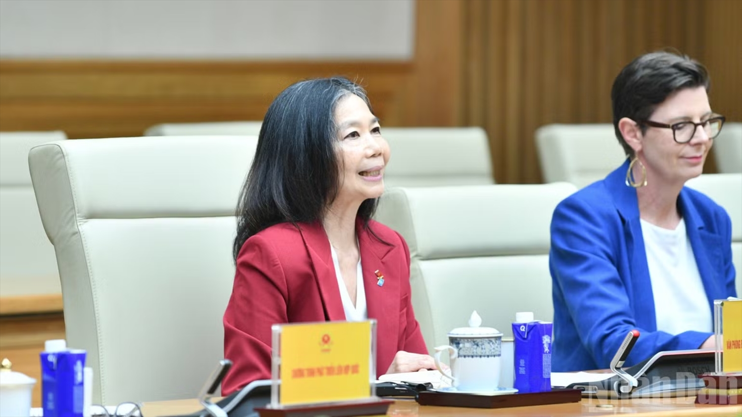 Bà Pauline Tamesis, Điều phối viên Thường trú Liên hợp quốc tại Việt Nam phát biểu ý kiến tại buổi tiếp. (Ảnh: THANH GIANG)