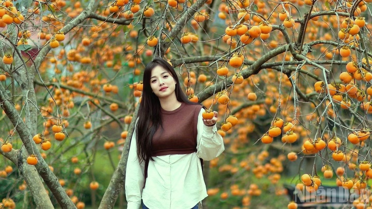 Vân Anh là một trong số những thanh niên Mộc Châu nhạy bén và tích cực tham gia làm du lịch nông nghiệp.