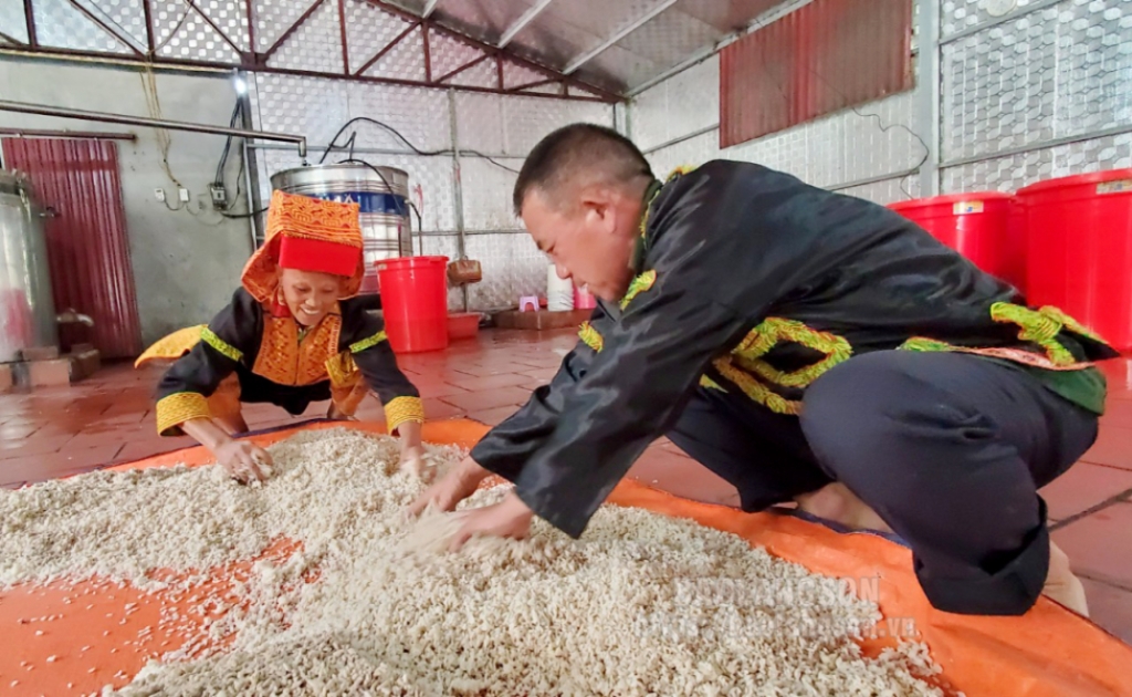 Men rượu làm từ hàng chục loại thảo mộc rừng là nguyên liệu quan trọng và đặc biệt để tạo nên thương hiệu rượu Mẫu Sơn