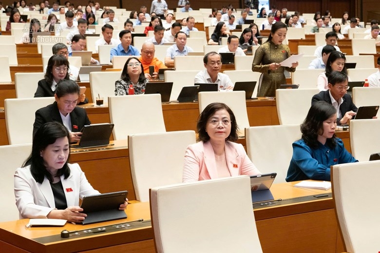 Các ĐBQH tham dự phiên họp