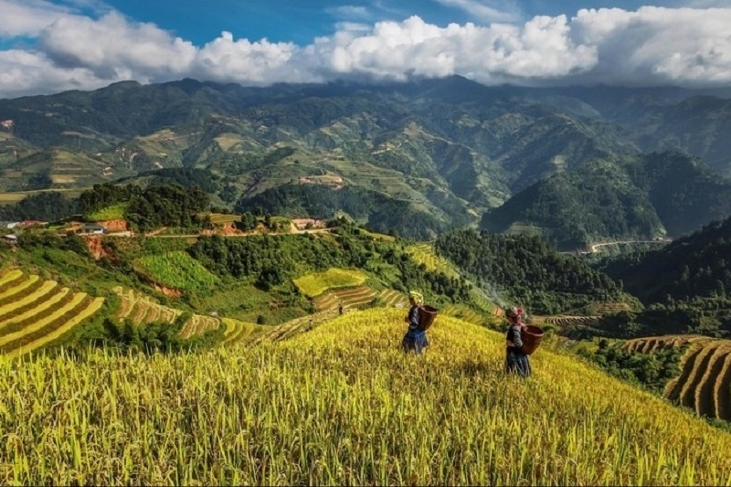 Việc triển khai hiệu quả Chương trình MTQG 417 đã góp phần cải thiện đời sống, từng bước giảm nghèo, nâng cao thu nhập đồng bào dân tộc thiểu số