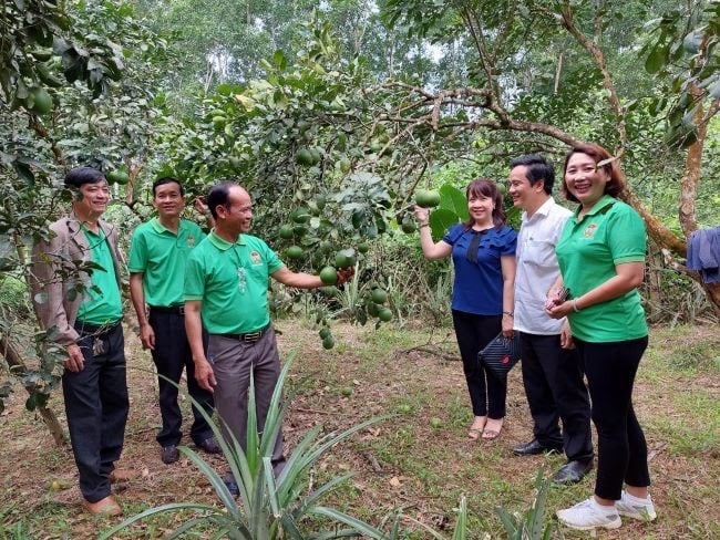 Nhờ chủ trương, chính sách của Đảng và Nhà nước, nhiều mô hình sinh kế giảm nghèo hỗ trợ về giống vật nuôi được triển khai sâu rộng cho phụ nữ tại vùng cao A Lưới 3, thành phố Huế