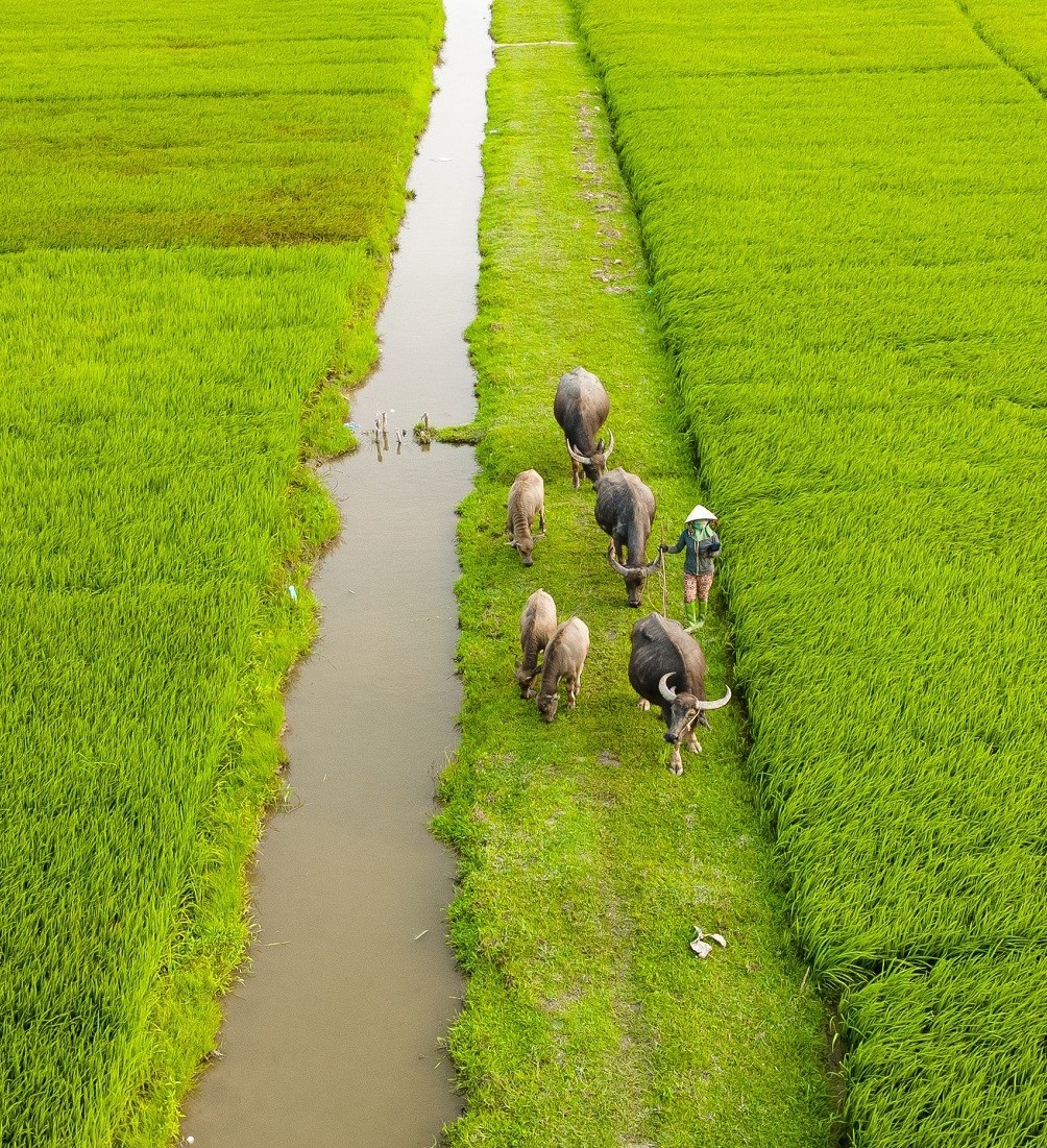Thành phố Huế đang triển khai nhiều mô hình giảm nghèo hiệu quả