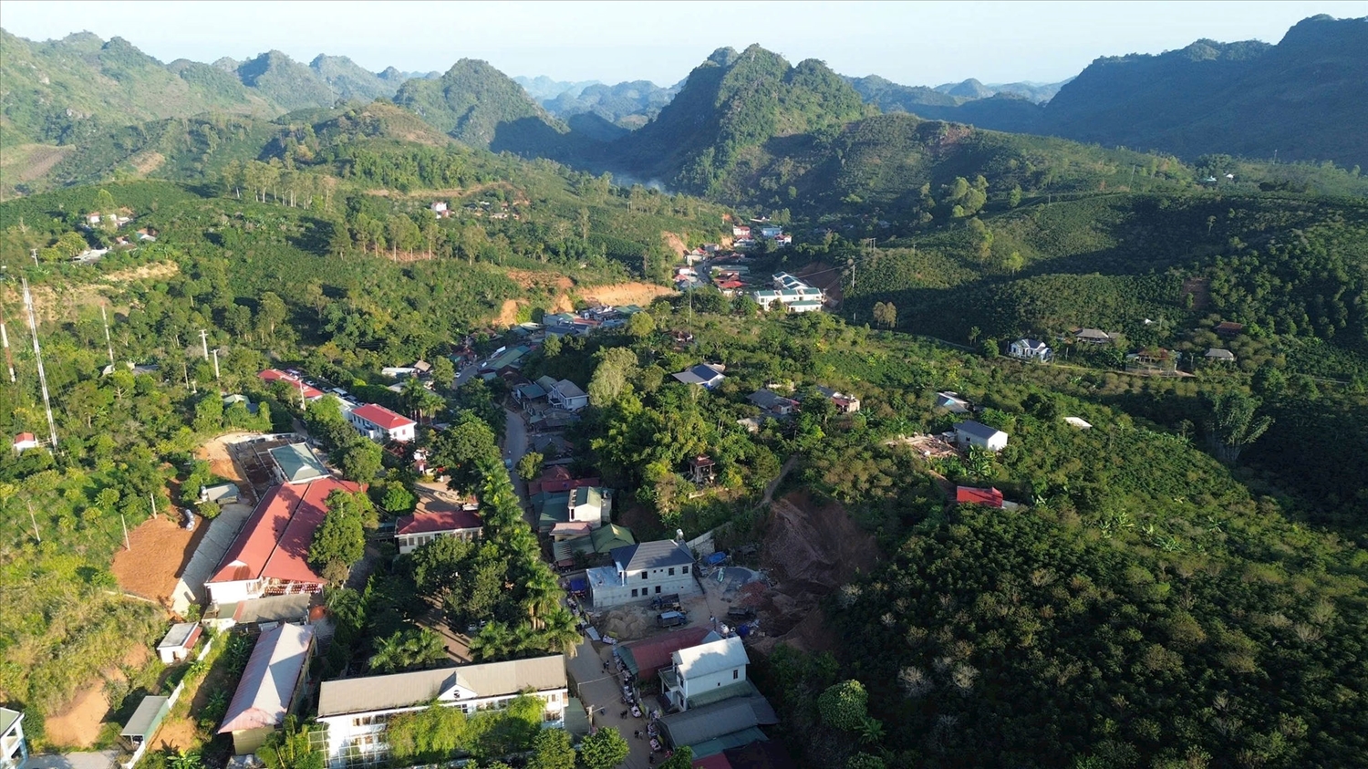 Nhiều năm qua, cây cà phê góp phần làm giàu cho Sơn La