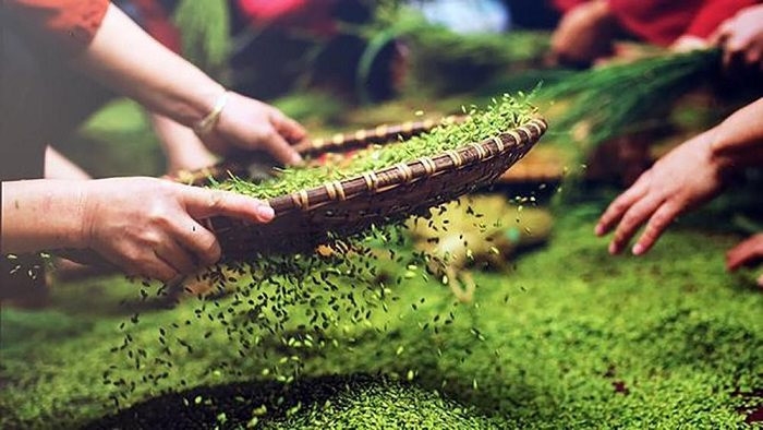 Mùa cốm thơm ngọt bản làng vùng cao 4