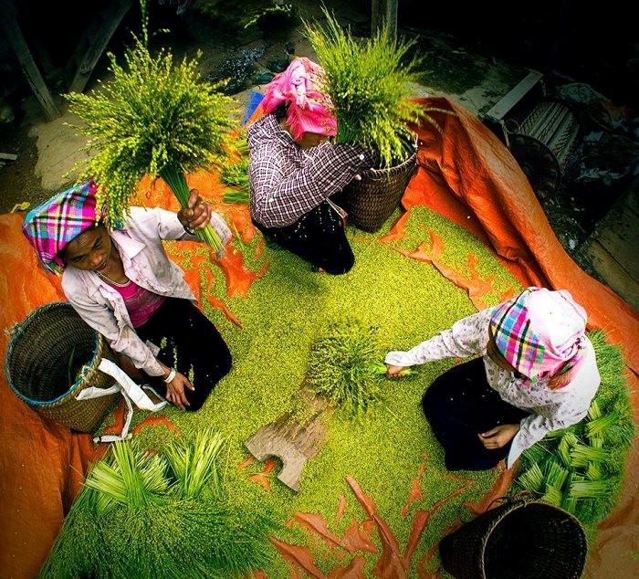 Mùa cốm thơm ngọt bản làng vùng cao 3