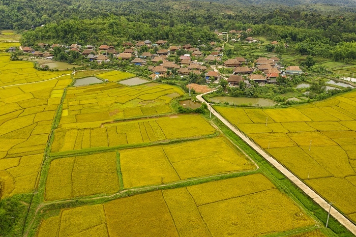 Bản Văn hóa du lịch Che Căn (tỉnh Điện Biên) nhìn từ trên cao 