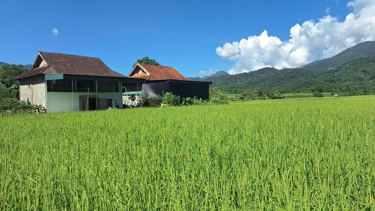 Từ nguồn vốn Chương trình MTQG, vùng biên Tri Lễ ngày càng khởi sắc