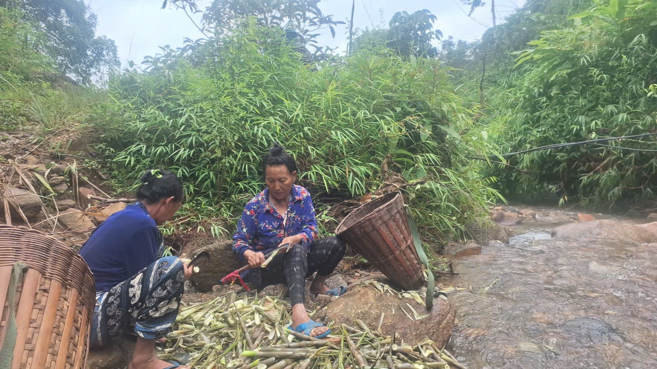 Mô hình sinh kế trồng cây măng đắng đã phát huy hiệu quả trong công tác giảm nghèo bền vững
