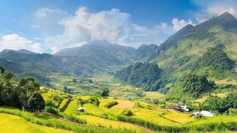 Màu của ấm no trên non cao