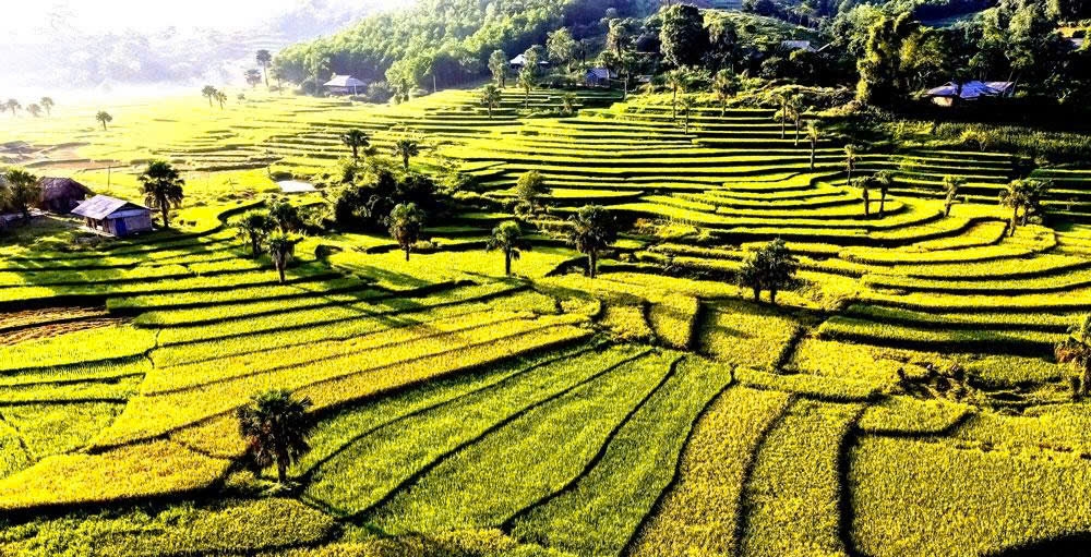 Mùa lúa chín ở các bản làng vùng cao trong tỉnh là tiềm năng, thế mạnh để tỉnh Thái Nguyên khai thác phát triển du lịch sinh thái