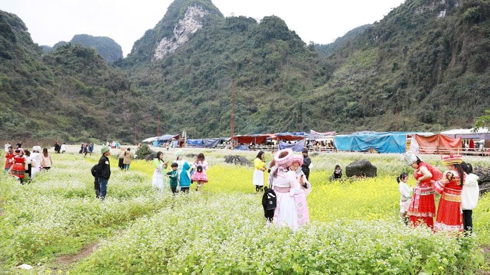 Vùng hoa tam giác mạch Lân Quan (xã Quang Sơn, tỉnh Thái Nguyên) là một điểm đến hấp dẫn du khách