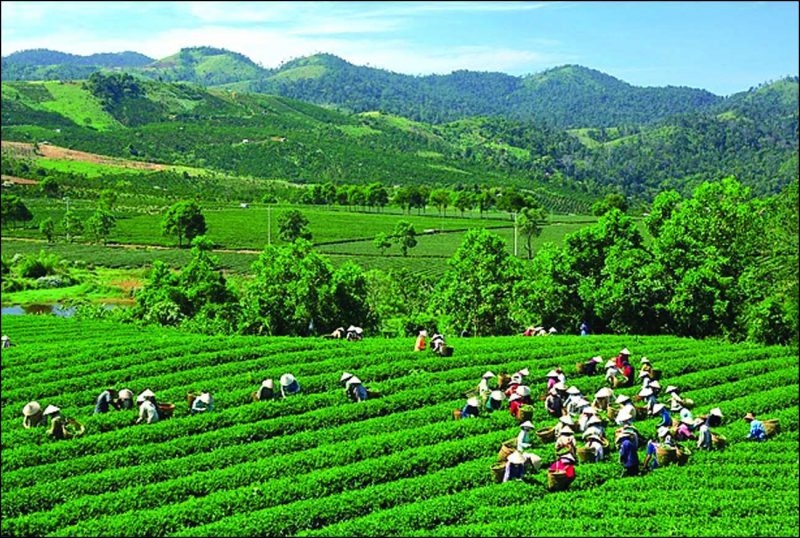 Tỉnh Thái Nguyên đang đẩy mạnh phát triển kinh tế xanh bằng việc đưa du lịch trở thành ngành kinh tế mũi nhọn, gắn kết chặt chẽ với nông nghiệp sinh thái và bảo tồn bản sắc văn hóa địa phương