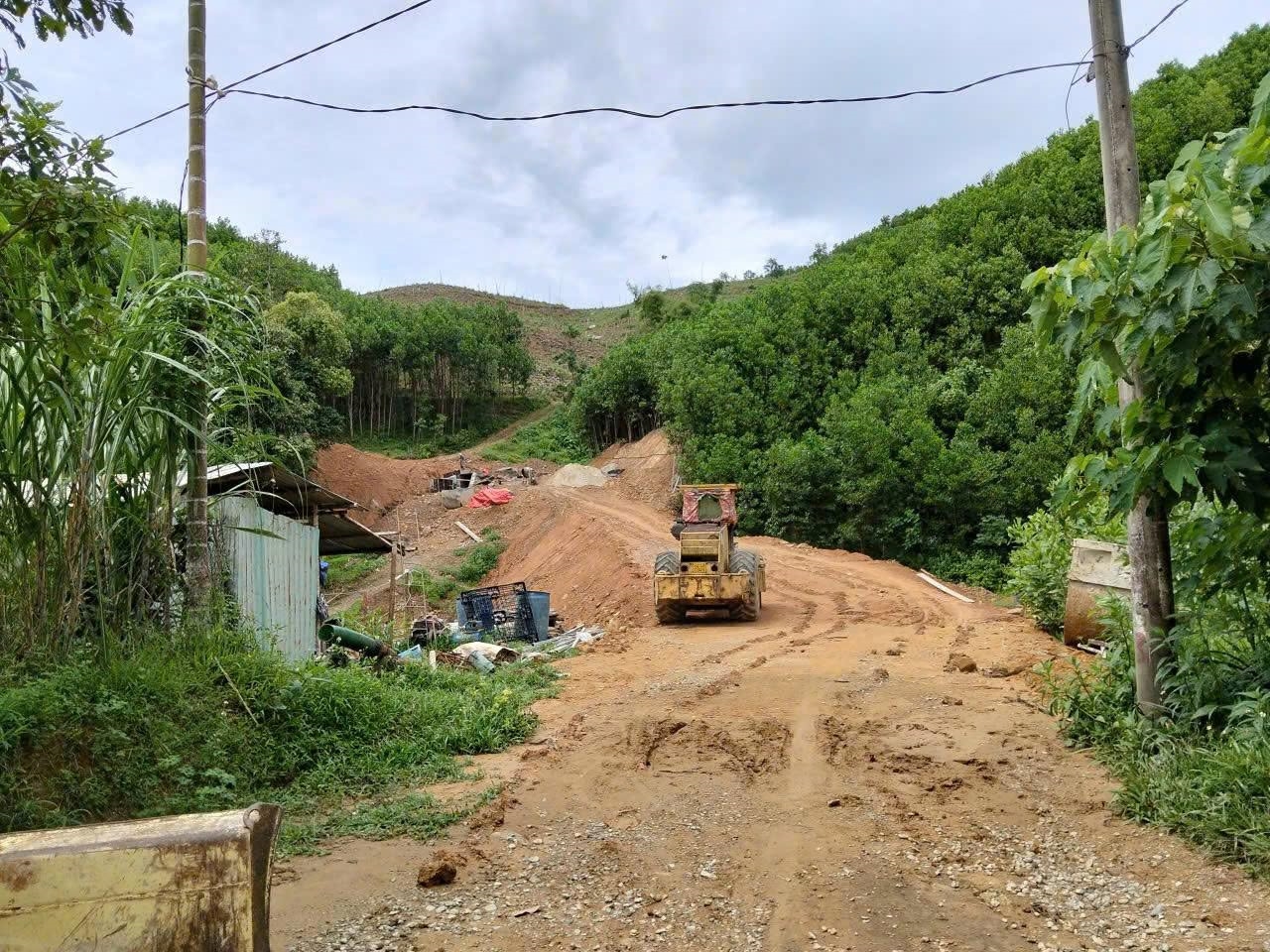 4 hộ dân tại thôn 2, xã Trà Đốc, thành phố Đà Nẵng tự nguyện hiến hơn 2400 m2 đất (bao gồm cả đất ở và đất sản xuất), 75 cây cau đang độ xanh tốt, 200 cây quế con, hơn 1.000 cây keo và nhiều cây ăn trái (mít, xoài, mận...) để mở đường